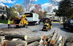 Spring Lake, NC Tree Care Services Company